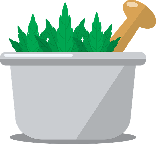 草药 有机的 药品 - 免费矢量图形