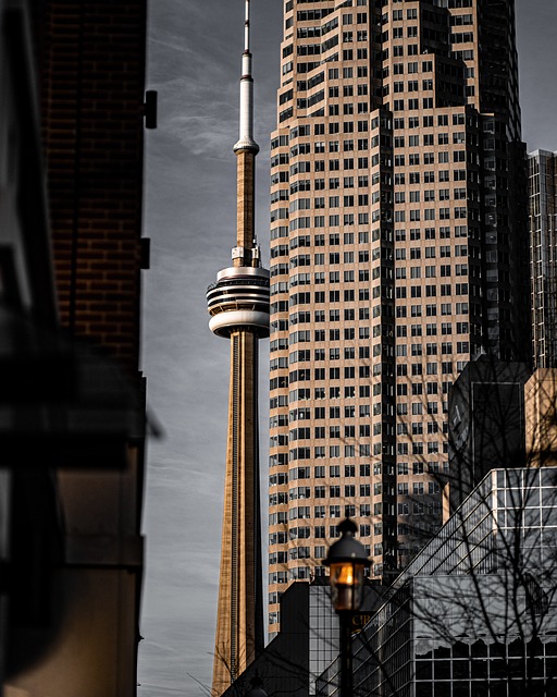 多伦多 城市 加拿大 - 上的免费照片
