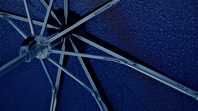 雨伞 金属 阴雨天气 - 上的免费照片