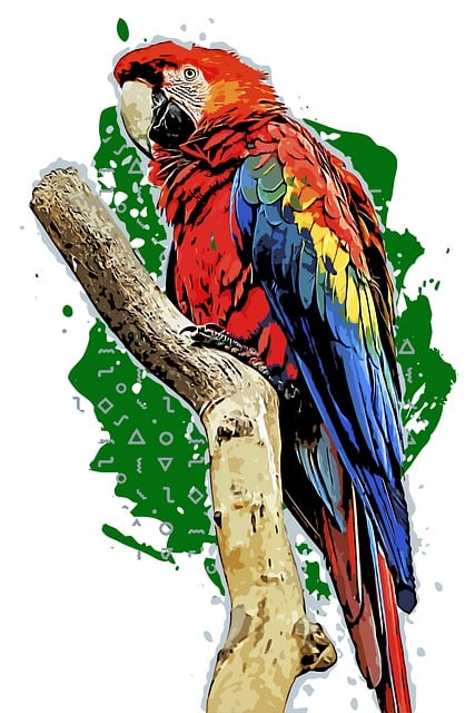 动物 Ara 澳门 喙 - 上的免费图片