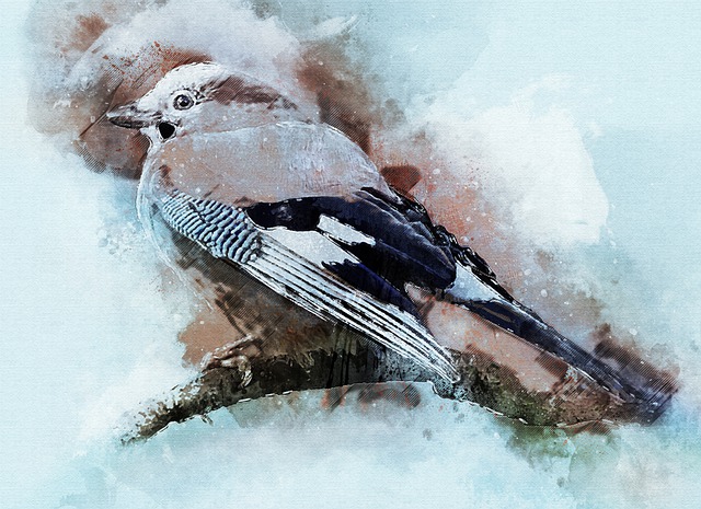 鸟 周杰伦 Garrulus Glandarius - 上的免费图片