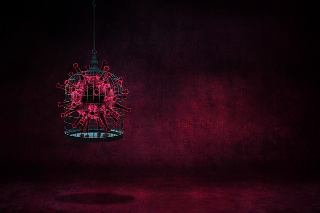 冠状病毒 隔离区 过错 - 上的免费图片