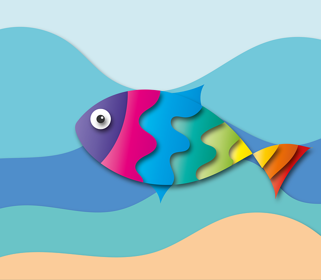 鱼 海 夏天 - 上的免费图片