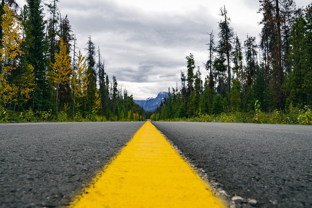 高速公路 荒野 黄线 - 上的免费照片