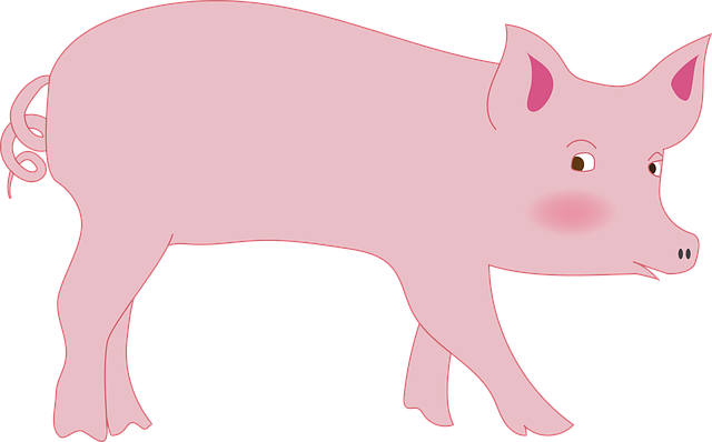 猪 Oink 培根 - 上的免费图片