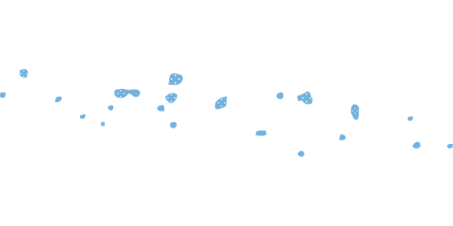 密克罗尼西亚 旗帜 地图 - 免费矢量图形