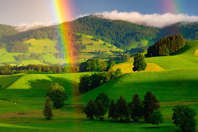 彩虹 丘陵 树木 - 上的免费照片