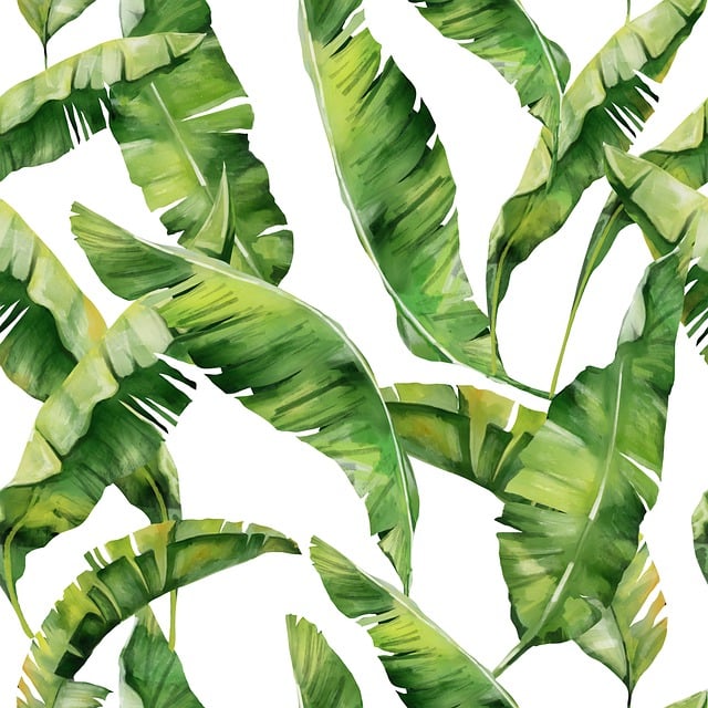 床单 热带 植物 - 上的免费图片