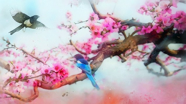 花 植物 桃花 - 上的免费图片