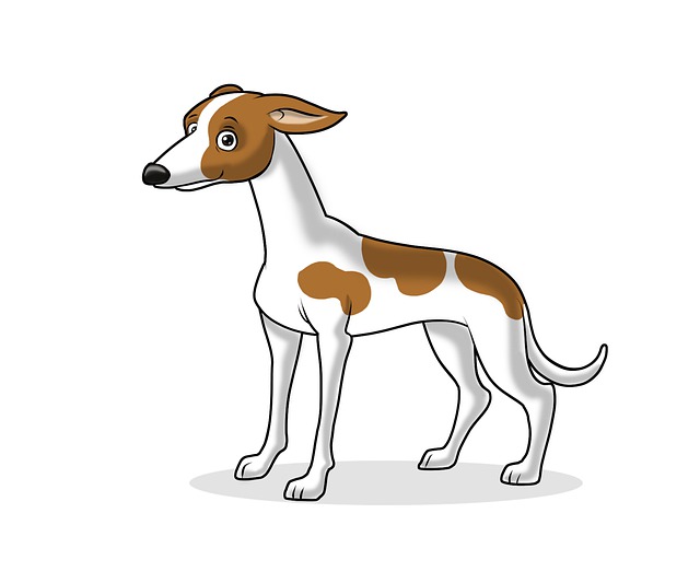狗 灵缇犬 动物 - 上的免费图片