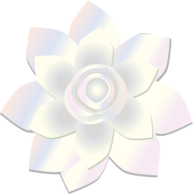 阿拉伯茉莉花 茉莉花 Mogra - 免费矢量图形