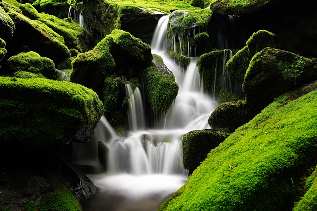 瀑布 Moss 韩国 - 上的免费照片