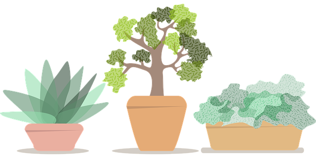 花盆 植物 楼层 - 免费矢量图形