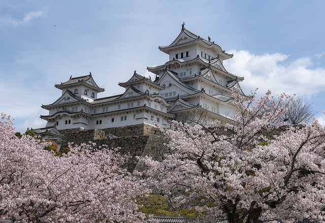 遗产 日本 城堡 - 上的免费照片