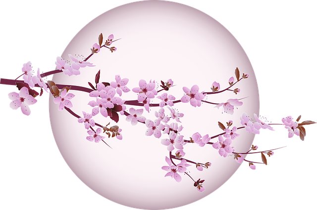 樱花 樱桃 树 - 免费矢量图形
