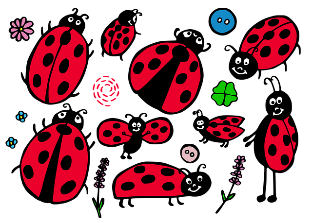 瓢虫 昆虫 画画 - 上的免费图片