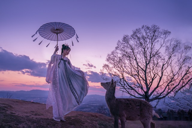 亚洲女人 中国汉服 Hanfu - 上的免费照片