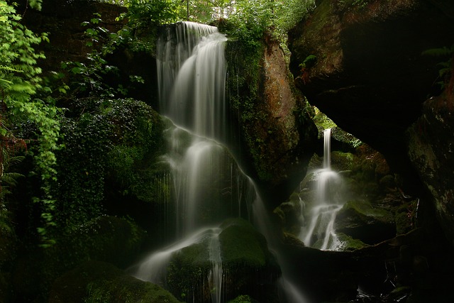 瀑布 溪 森林 - 上的免费照片