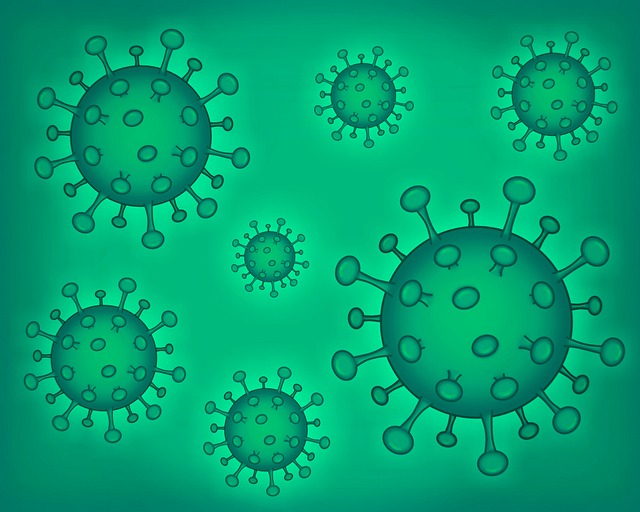 冠状病毒 Covid-19 病毒 - 上的免费图片