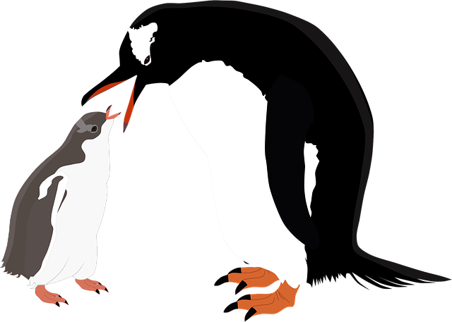 Gentoo 企鹅 - 免费矢量图形