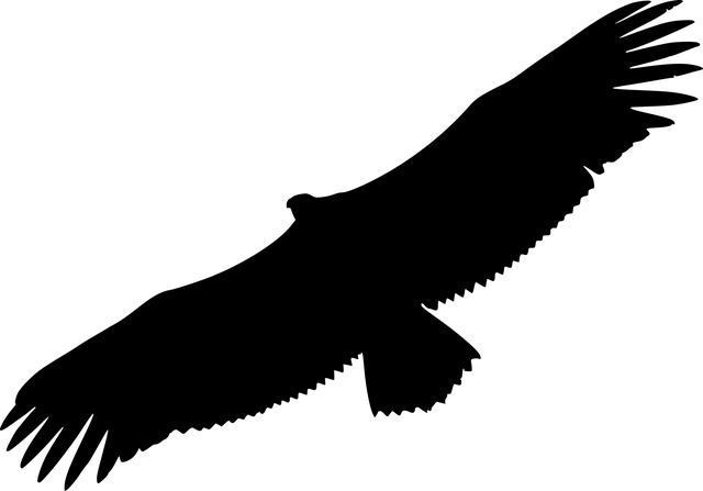 狮鹫 秃鹫 轮廓 - 免费矢量图形