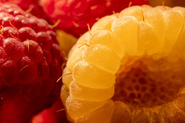 山莓 黄树莓 红莓 - 上的免费照片