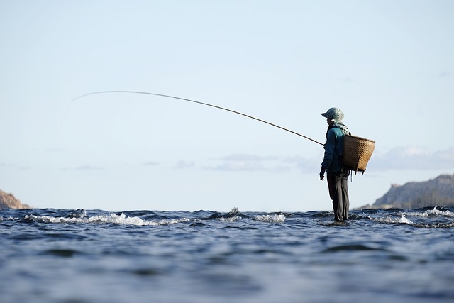 钓鱼 渔夫 渔杆 - 上的免费照片