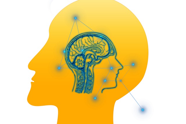 头 脑 想法 - 上的免费图片