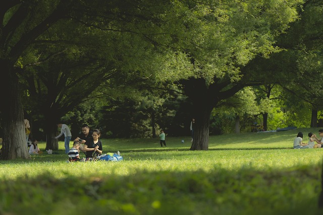 人们 公园 野餐 - 上的免费照片