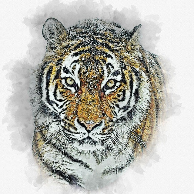 东北虎 老虎 猫科动物 - 上的免费图片