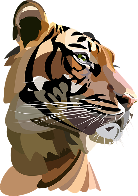 老虎 图标 野生猫 - 免费矢量图形