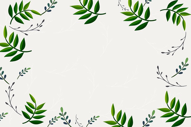 树叶 叶子 植物 - 上的免费图片