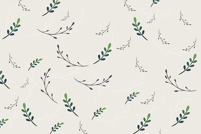 树叶 叶子 植物 - 上的免费图片