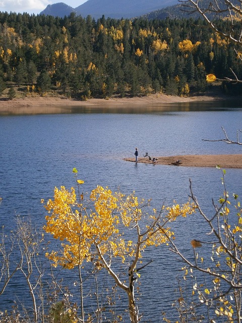 钓鱼 湖 树木 - 上的免费照片