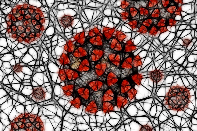 Covid-19 冠状病毒 严重急性呼吸系统综合症冠状病毒2 - 上的免费图片
