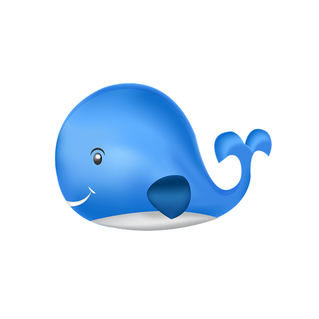 鲸 动物 哺乳动物 - 上的免费图片