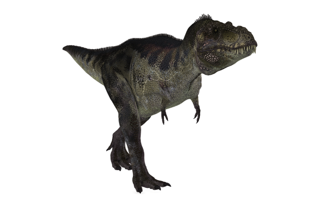 恐龙 霸王龙 动物 - 上的免费图片