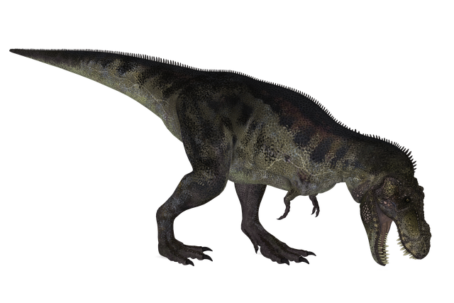 恐龙 霸王龙 动物 - 上的免费图片