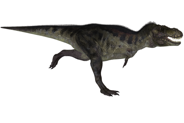 恐龙 霸王龙 动物 - 上的免费图片