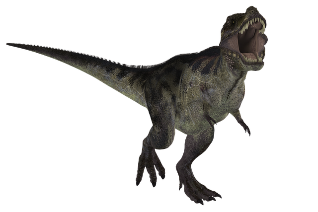 恐龙 霸王龙 动物 - 上的免费图片