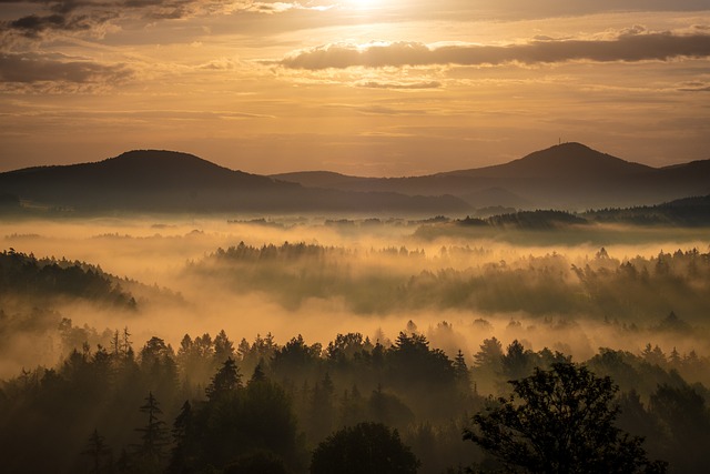 日出 多雾路段 景观 - 上的免费照片