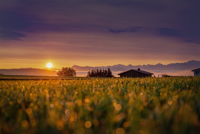太阳 日出 原野 - 上的免费照片