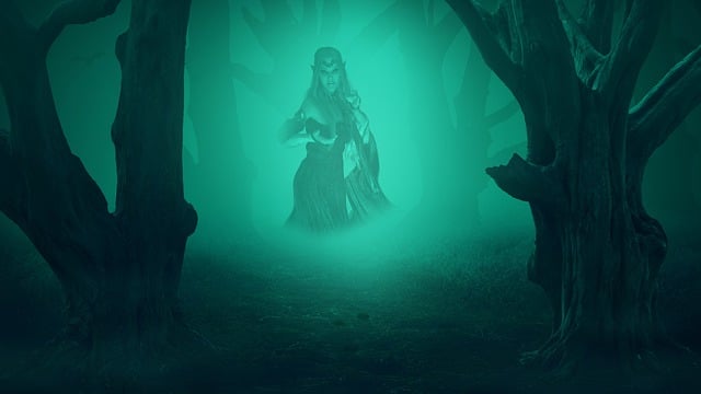 树木 多雾路段 女士 - 上的免费图片