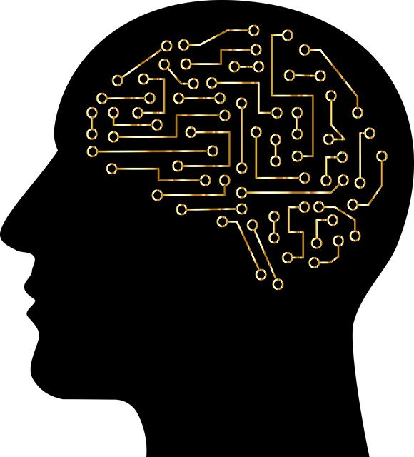 脑 电路 电子产品 - 免费矢量图形