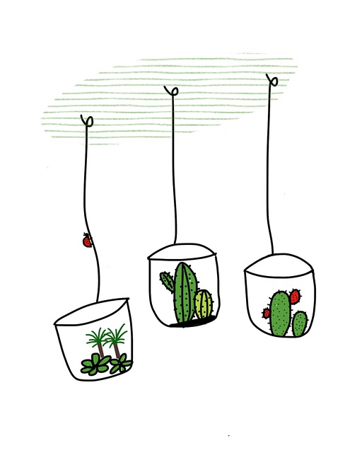 仙人掌 挂厂 植物 - 上的免费图片