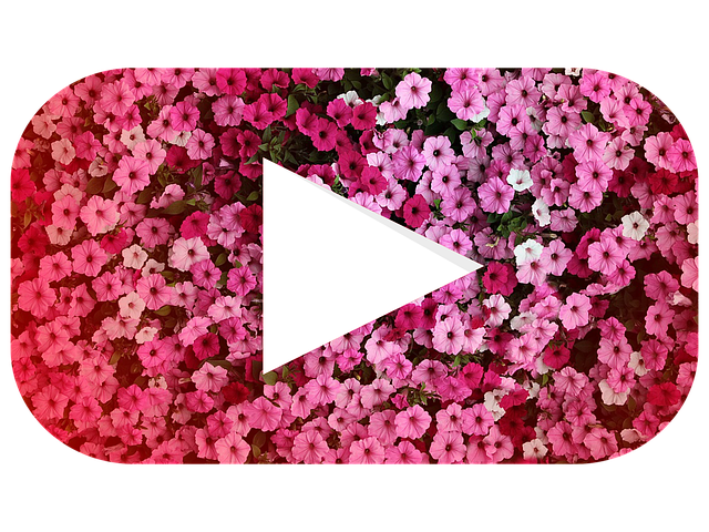 Youtube 标识 图标 - 上的免费图片