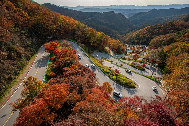 路 高速公路 车辆 - 上的免费照片