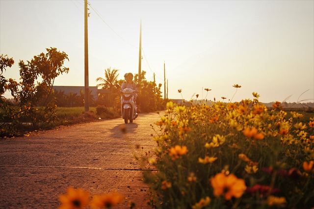 摩托车 路 野花 - 上的免费照片