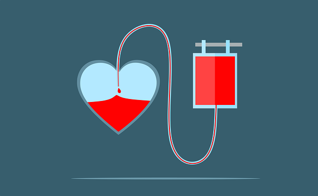 心 血 捐款 - 免费矢量图形