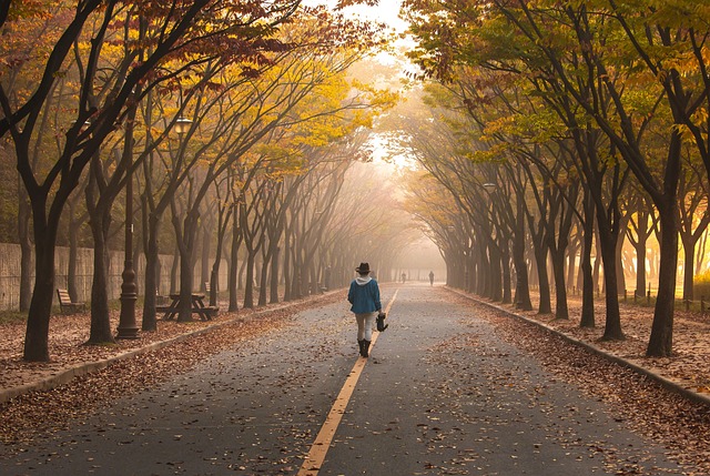 路 路面 女士 - 上的免费照片